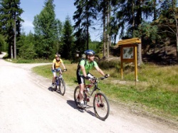 Zinsbachtal - Waldpark Grünheide