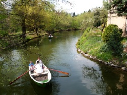 Schlossinsel Rodewisch