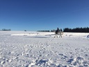 170128 2 IMG 1776