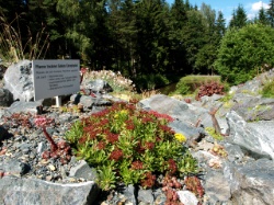 Adorf Botanischer Garten