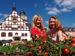 Plauen Rathaus