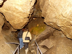 Drachenhöhle Syrau