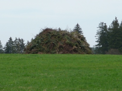 Besenbrennen Ruhe vor dem Sturm 2012 2