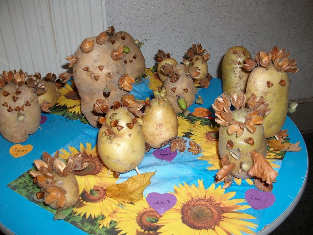 Kindergarten Beerheide