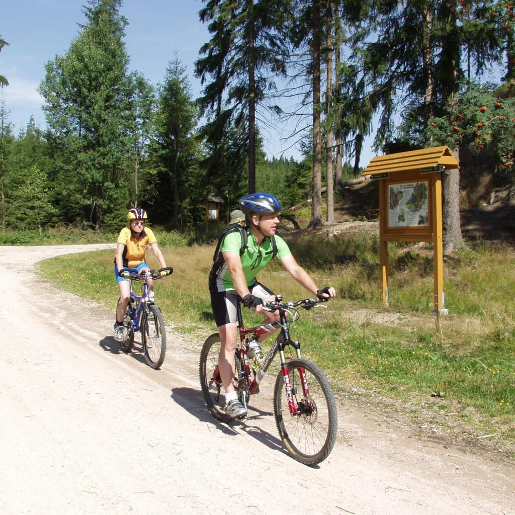 Zinsbachtal - Waldpark Grünheide