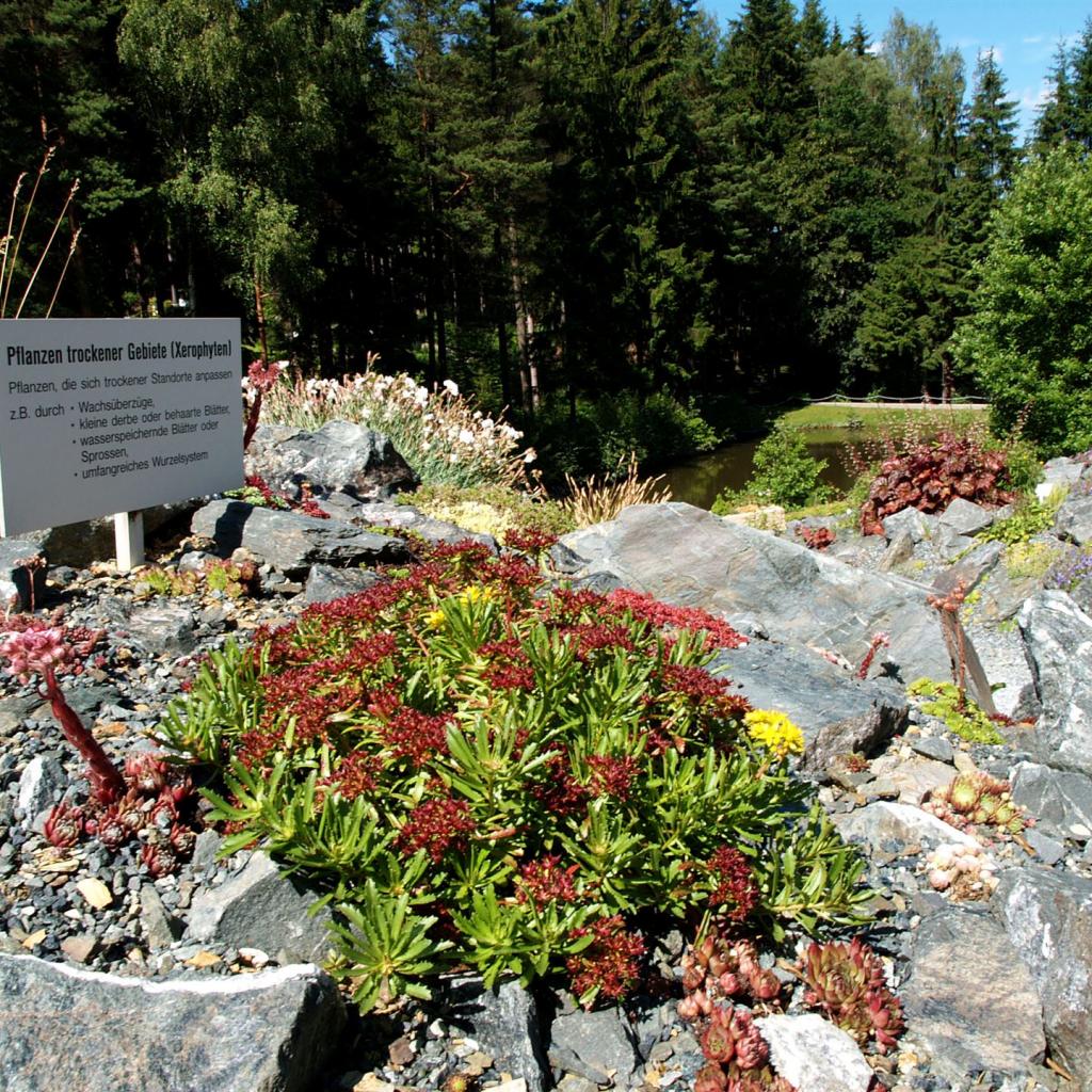 Adorf Botanischer Garten