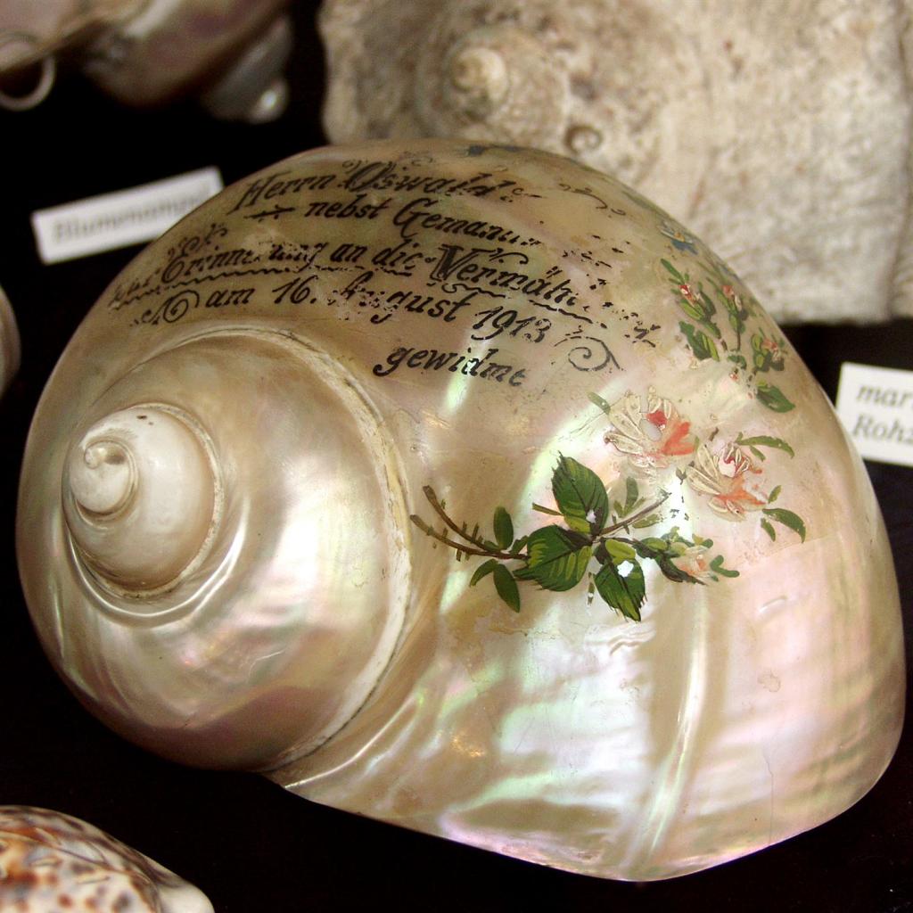 Museum Adorf - Perlmuschel