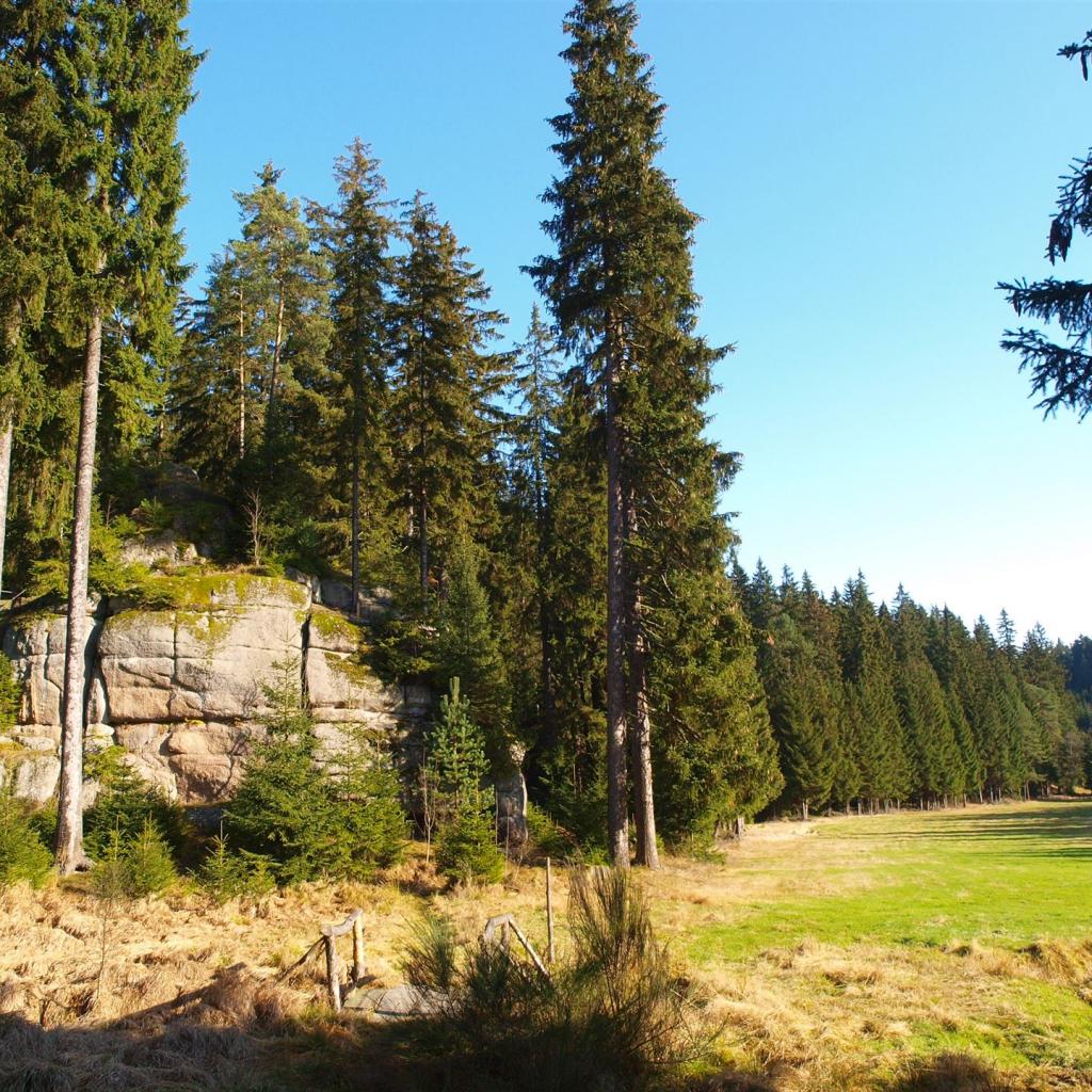 Waldgebiet Katzenstein